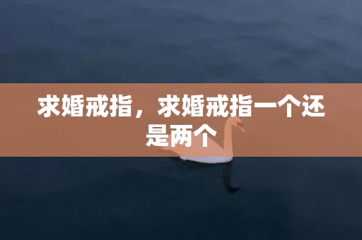 求婚戒指，求婚戒指一个还是两个