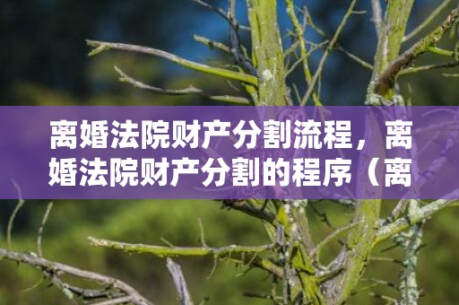 离婚法院财产分割流程，离婚法院财产分割的程序（离婚法院财产分割的程序是什么）