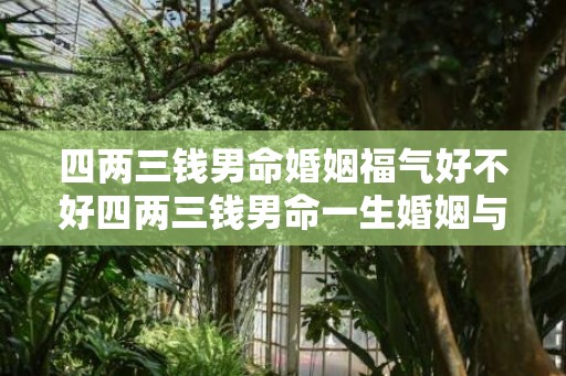 四两三钱男命婚姻福气好不好四两三钱男命一生婚姻与命运...的简单介绍