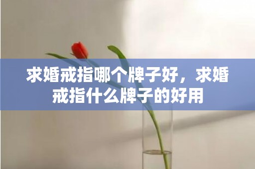 求婚戒指哪个牌子好，求婚戒指什么牌子的好用