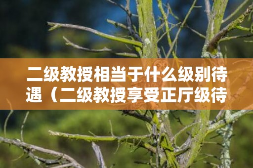 二级教授相当于什么级别待遇（二级教授享受正厅级待遇）