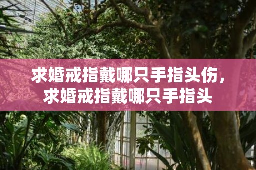 求婚戒指戴哪只手指头伤，求婚戒指戴哪只手指头