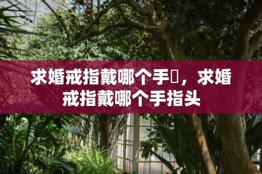 求婚戒指戴哪个手挿，求婚戒指戴哪个手指头
