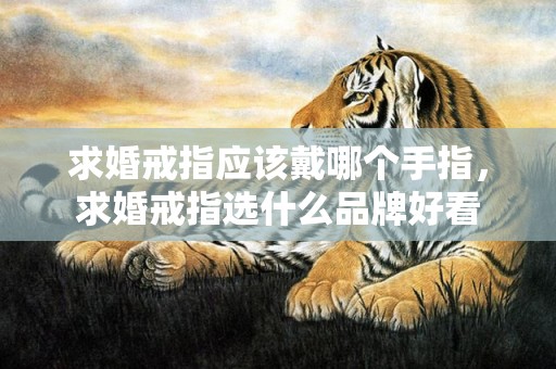 求婚戒指应该戴哪个手指，求婚戒指选什么品牌好看