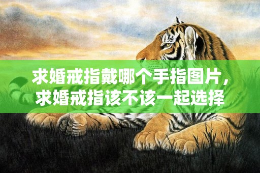 求婚戒指戴哪个手指图片，求婚戒指该不该一起选择