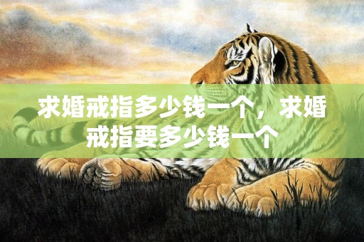 求婚戒指多少钱一个，求婚戒指要多少钱一个