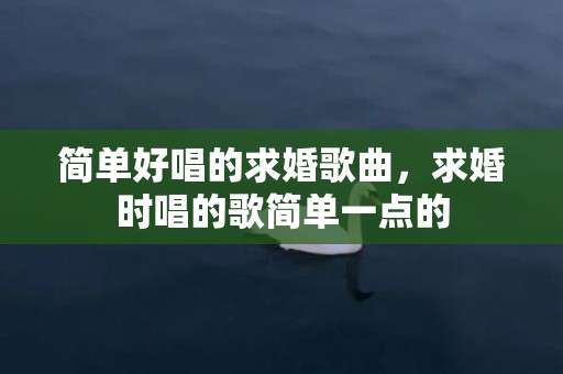 简单好唱的求婚歌曲，求婚时唱的歌简单一点的