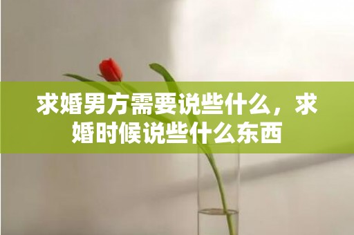 求婚男方需要说些什么，求婚时候说些什么东西