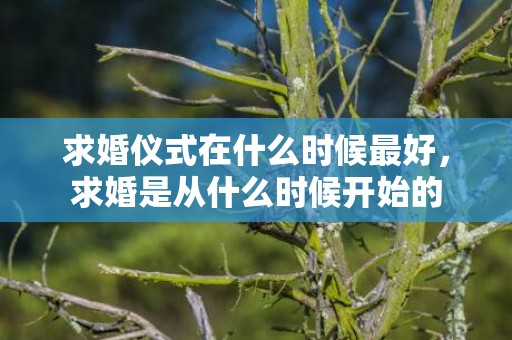 求婚仪式在什么时候最好，求婚是从什么时候开始的