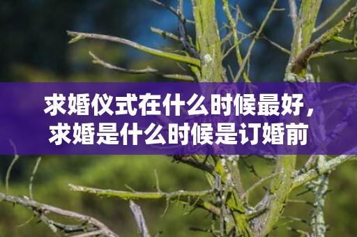 求婚仪式在什么时候最好，求婚是什么时候是订婚前