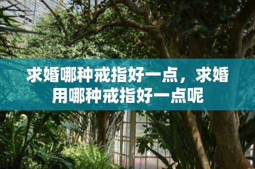 求婚哪种戒指好一点，求婚用哪种戒指好一点呢