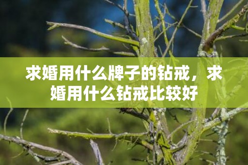 求婚用什么牌子的钻戒，求婚用什么钻戒比较好