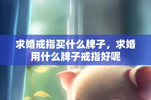 求婚戒指买什么牌子，求婚用什么牌子戒指好呢