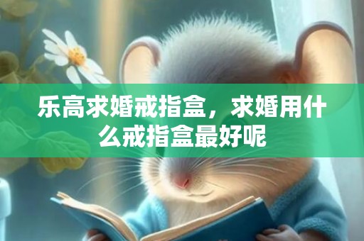 乐高求婚戒指盒，求婚用什么戒指盒最好呢