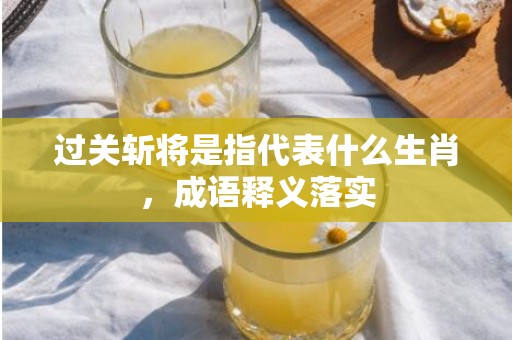过关斩将是指代表什么生肖，成语释义落实