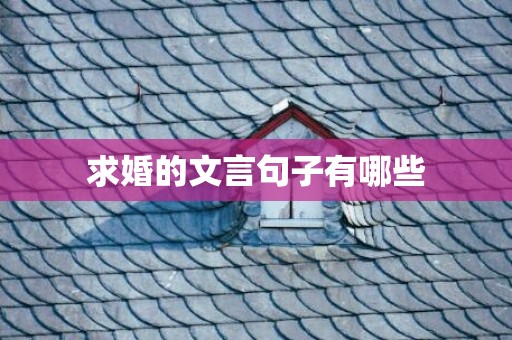 求婚的文言句子有哪些