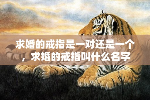 求婚的戒指是一对还是一个，求婚的戒指叫什么名字