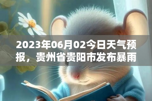2023年06月02今日天气预报，贵州省贵阳市发布暴雨黄色预警