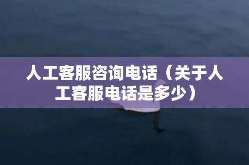 人工客服咨询电话（关于人工客服电话是多少）