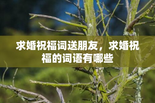 求婚祝福词送朋友，求婚祝福的词语有哪些