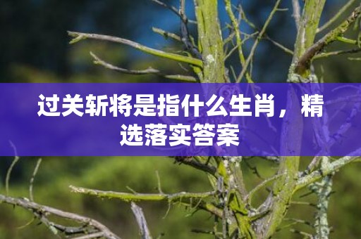 过关斩将是指什么生肖，精选落实答案