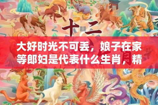 大好时光不可丢，娘子在家等郎妇是代表什么生肖，精选落实解释