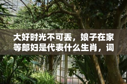 大好时光不可丢，娘子在家等郎妇是代表什么生肖，词语落实解释