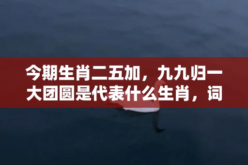 今期生肖二五加，九九归一大团圆是代表什么生肖，词语落实解释