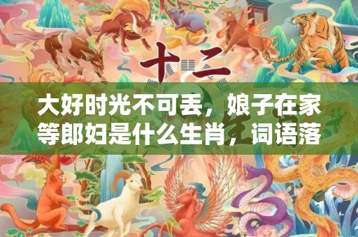 大好时光不可丢，娘子在家等郎妇是什么生肖，词语落实解释