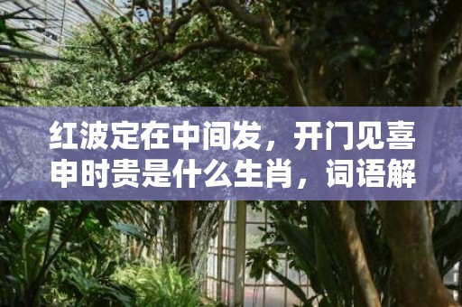 红波定在中间发，开门见喜申时贵是什么生肖，词语解释落实