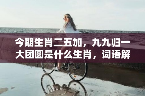 今期生肖二五加，九九归一大团圆是什么生肖，词语解释落实
