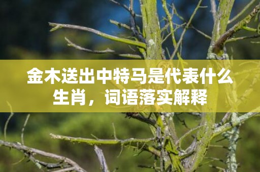 金木送出中特马是代表什么生肖，词语落实解释