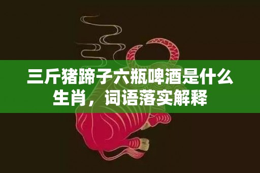 三斤猪蹄子六瓶啤酒是什么生肖，词语落实解释
