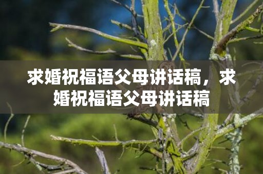 求婚祝福语父母讲话稿，求婚祝福语父母讲话稿