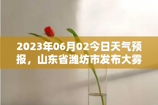2023年06月02今日天气预报，山东省潍坊市发布大雾橙色预警