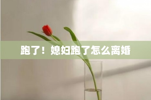 跑了！媳妇跑了怎么离婚