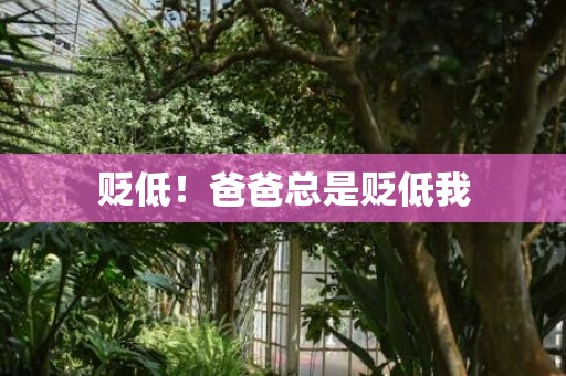 贬低！爸爸总是贬低我