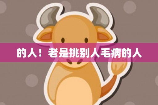 的人！老是挑别人毛病的人