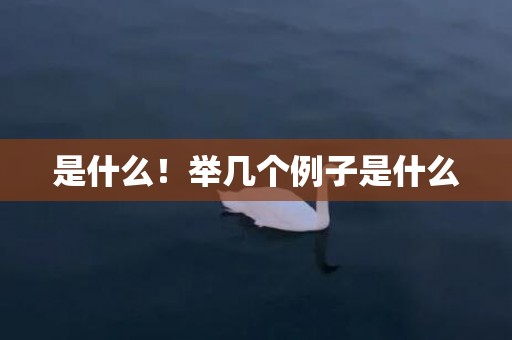 是什么！举几个例子是什么
