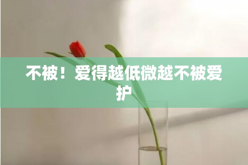 不被！爱得越低微越不被爱护