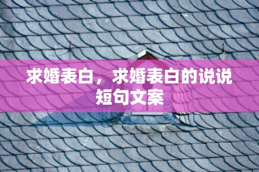 求婚表白，求婚表白的说说短句文案