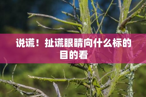 说谎！扯谎眼睛向什么标的目的看