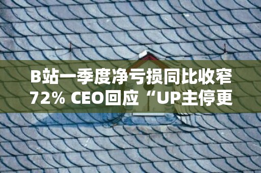 B站一季度净亏损同比收窄72% CEO回应“UP主停更潮”