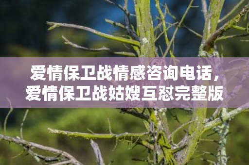 爱情保卫战情感咨询电话，爱情保卫战姑嫂互怼完整版