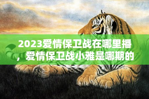 2023爱情保卫战在哪里播，爱情保卫战小雅是哪期的人