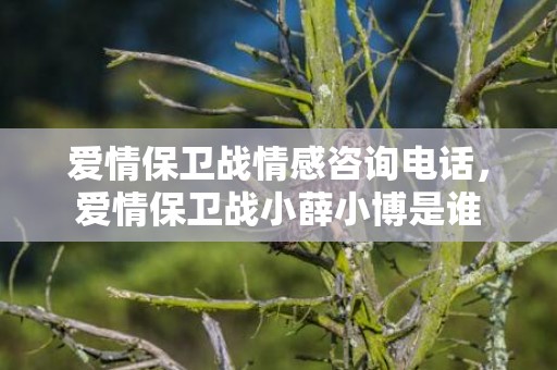 爱情保卫战情感咨询电话，爱情保卫战小薛小博是谁