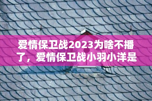 爱情保卫战2023为啥不播了，爱情保卫战小羽小洋是谁
