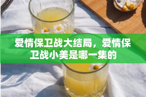 爱情保卫战大结局，爱情保卫战小美是哪一集的