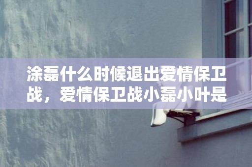 涂磊什么时候退出爱情保卫战，爱情保卫战小磊小叶是谁