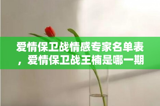 爱情保卫战情感专家名单表，爱情保卫战王楠是哪一期